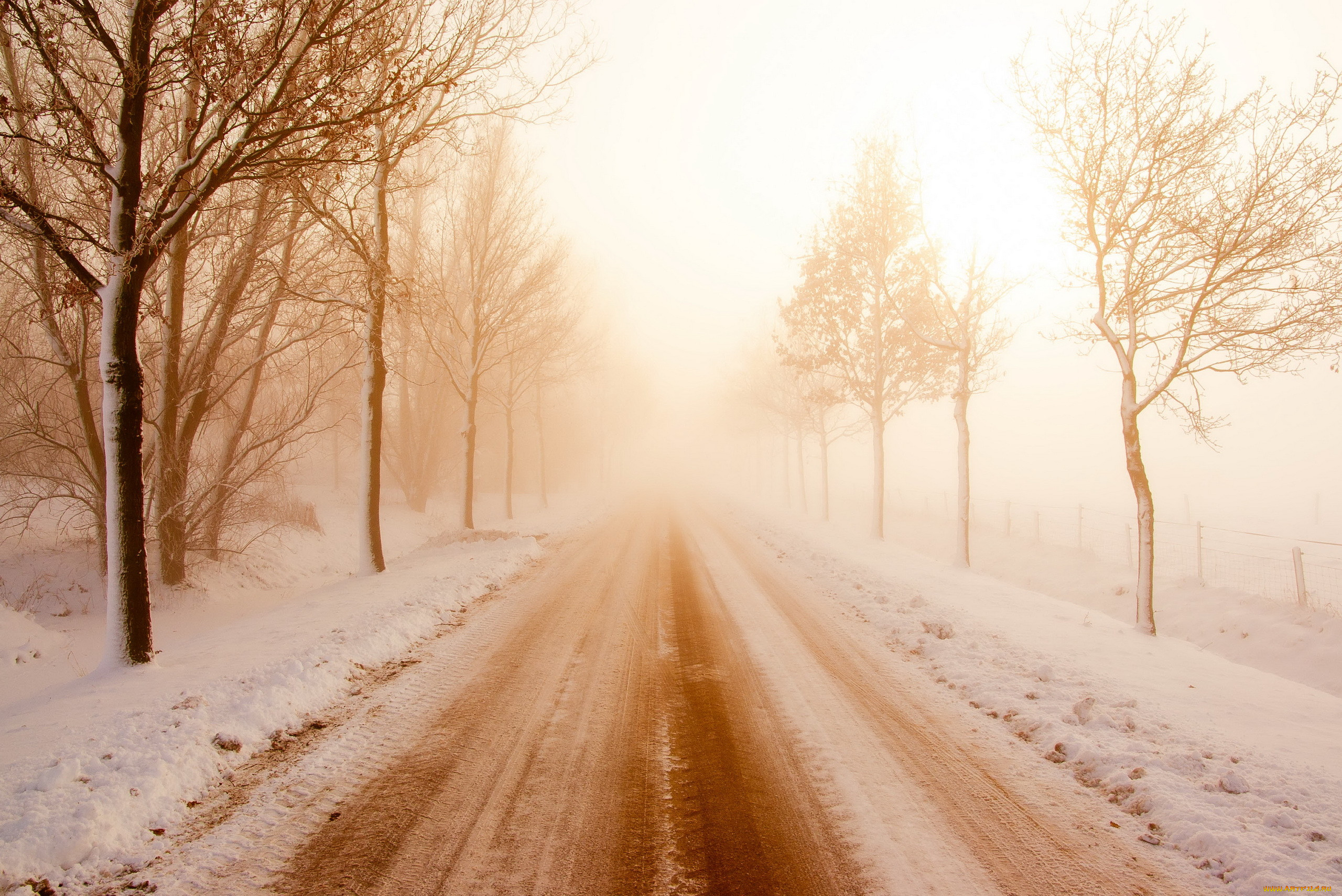 Зимнее утро дорога. Снежная дорога. Заснеженная дорога. Зима дорога. Зима солнце дорога.